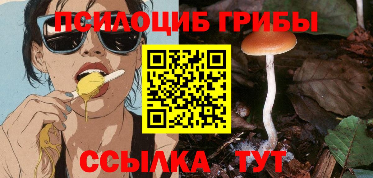 Псилоцибиновые грибы мицелий Семёнов